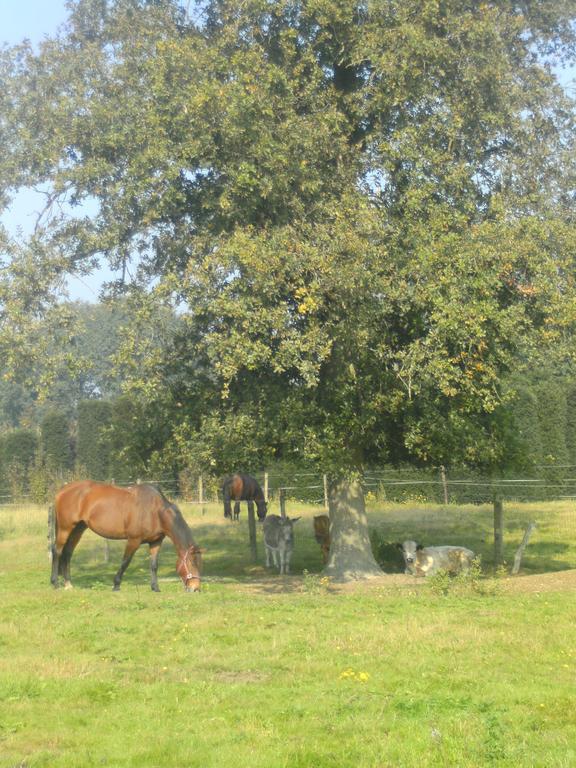 Farm Stay Luythoeve Meeuwen Buitenkant foto
