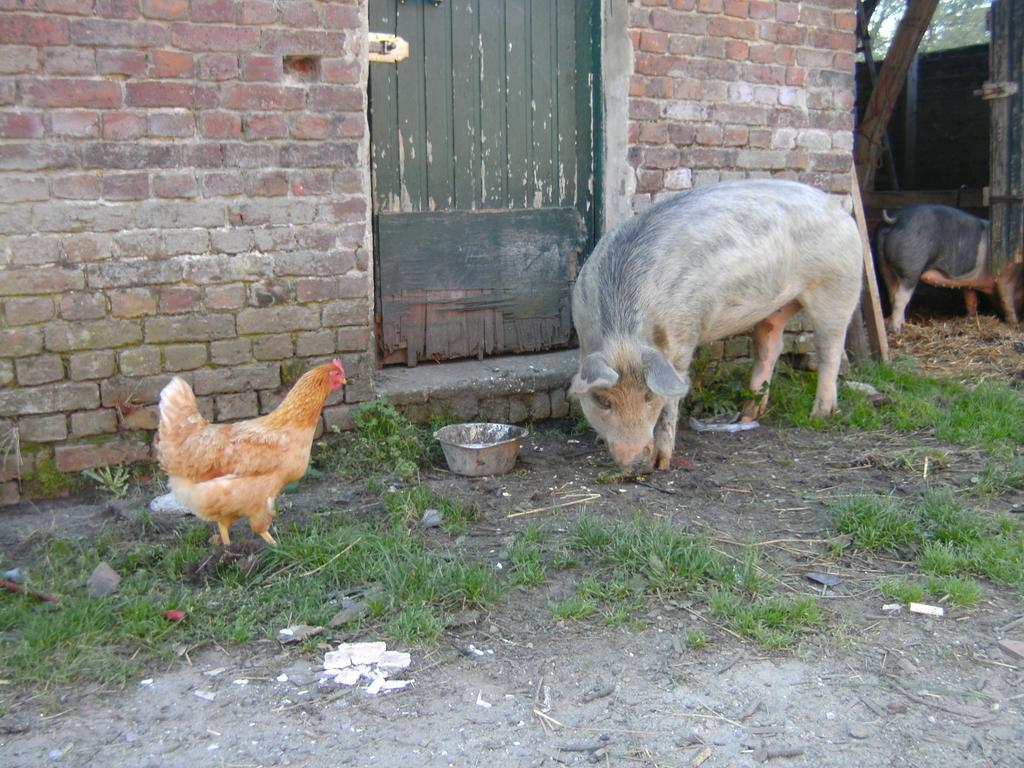 Farm Stay Luythoeve Meeuwen Buitenkant foto