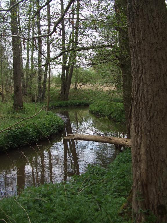 Farm Stay Luythoeve Meeuwen Buitenkant foto